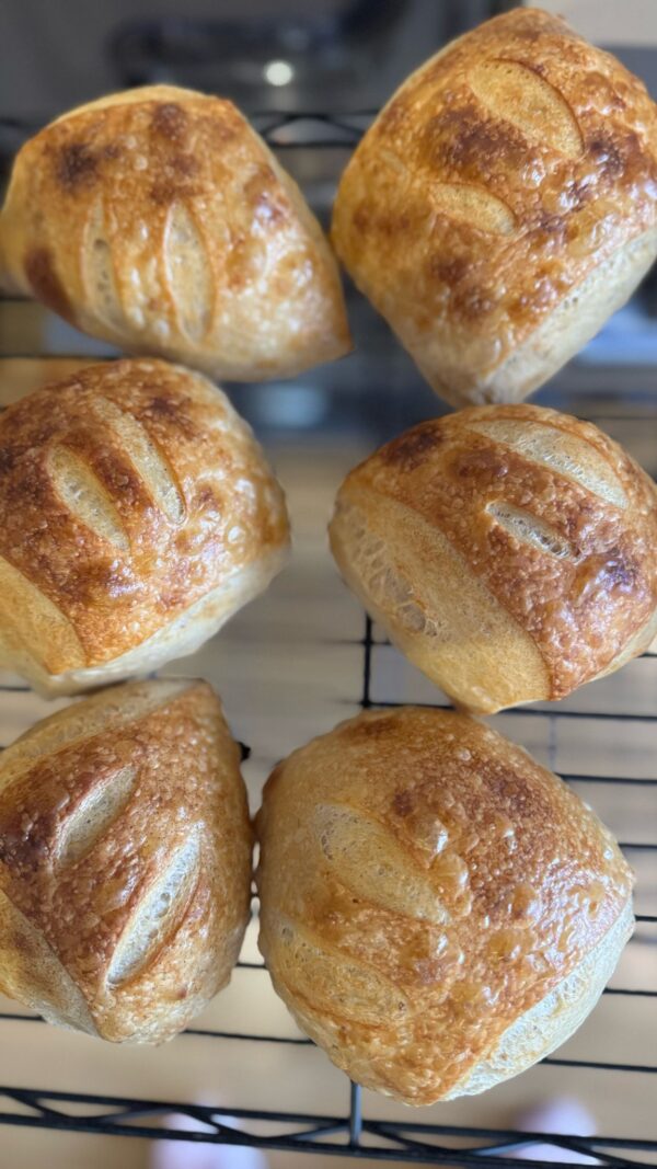 31_vfxvyy 6 Sourdough Rolls