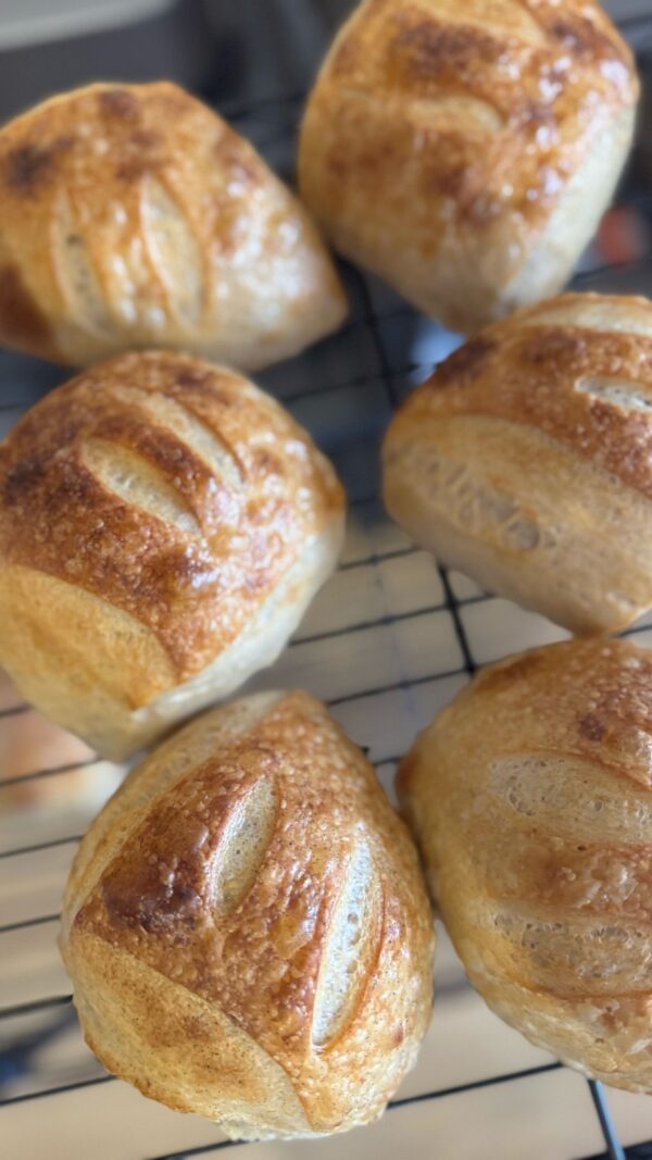 WhatsApp_Image_2025-04-24_at_08.46.18_fchlye 6 Sourdough Rolls