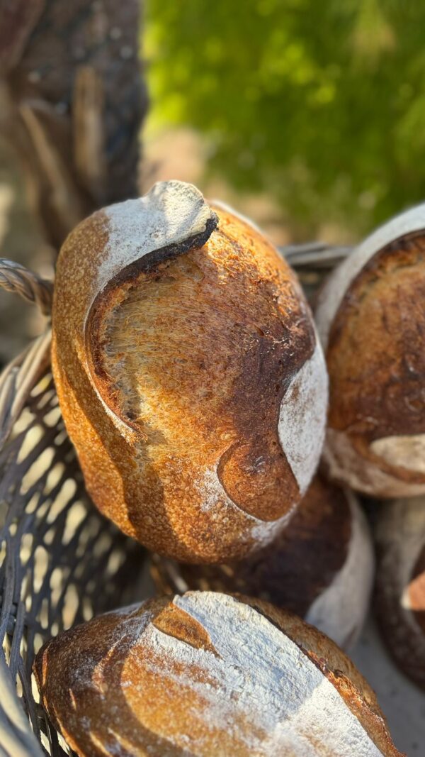 Fiber Fuel Artisan