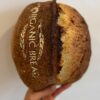 Organic Plain Sourdough Artisan