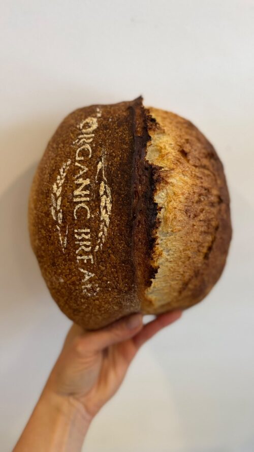 organicplain Organic Plain Sourdough Artisan