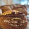 Organic Plain Sourdough Artisan