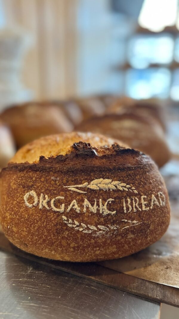 Organic Plain Sourdough Artisan